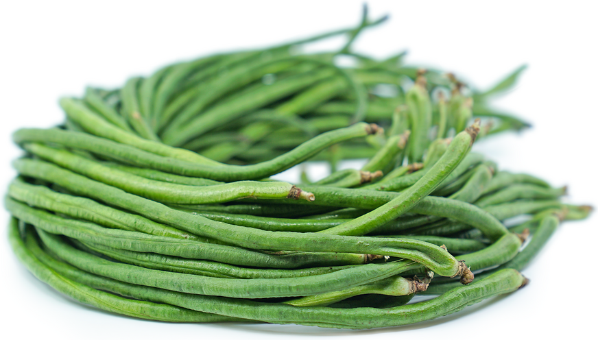 French Beans (Beans / Payar)